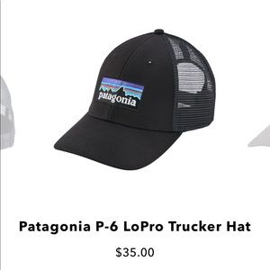 Patagonia P-6 LoPro Trucker Hat